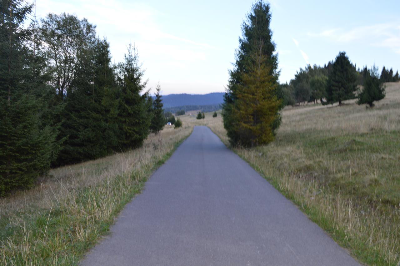 Domek pod Majową Górą Kacwin Exterior foto