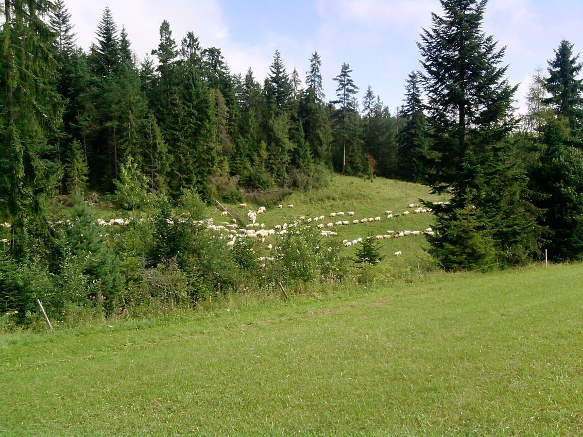 Domek pod Majową Górą Kacwin Exterior foto